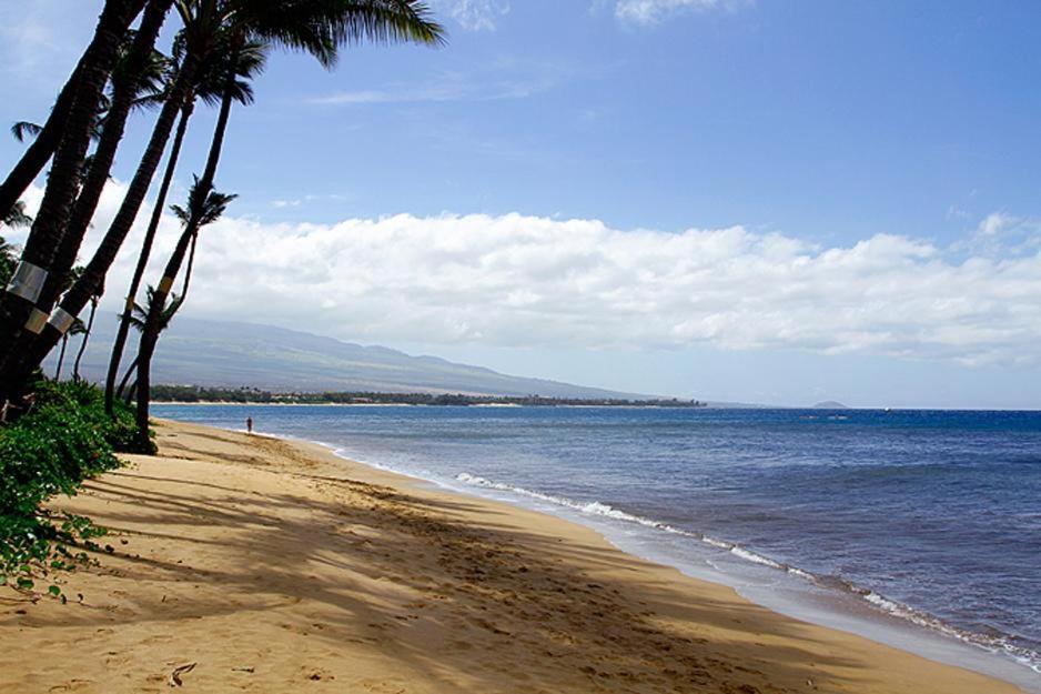 Kealia Resort 203 Kihei Exteriör bild