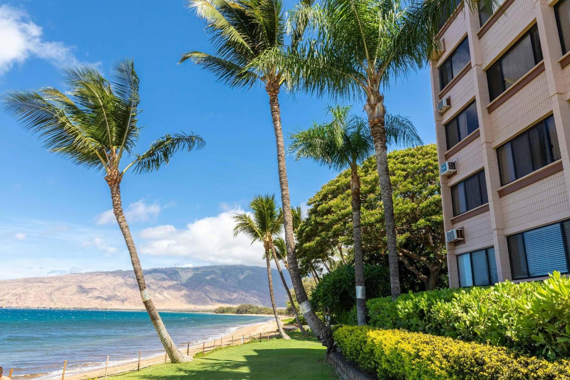 Kealia Resort 203 Kihei Exteriör bild