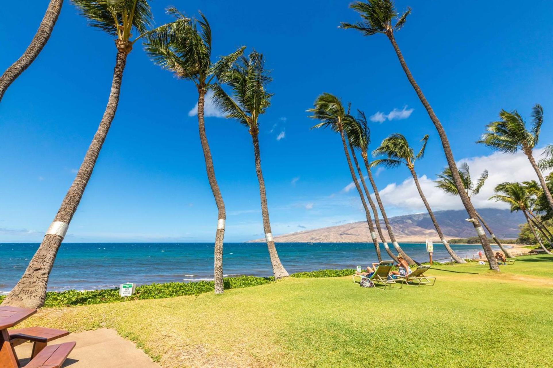 Kealia Resort 203 Kihei Exteriör bild