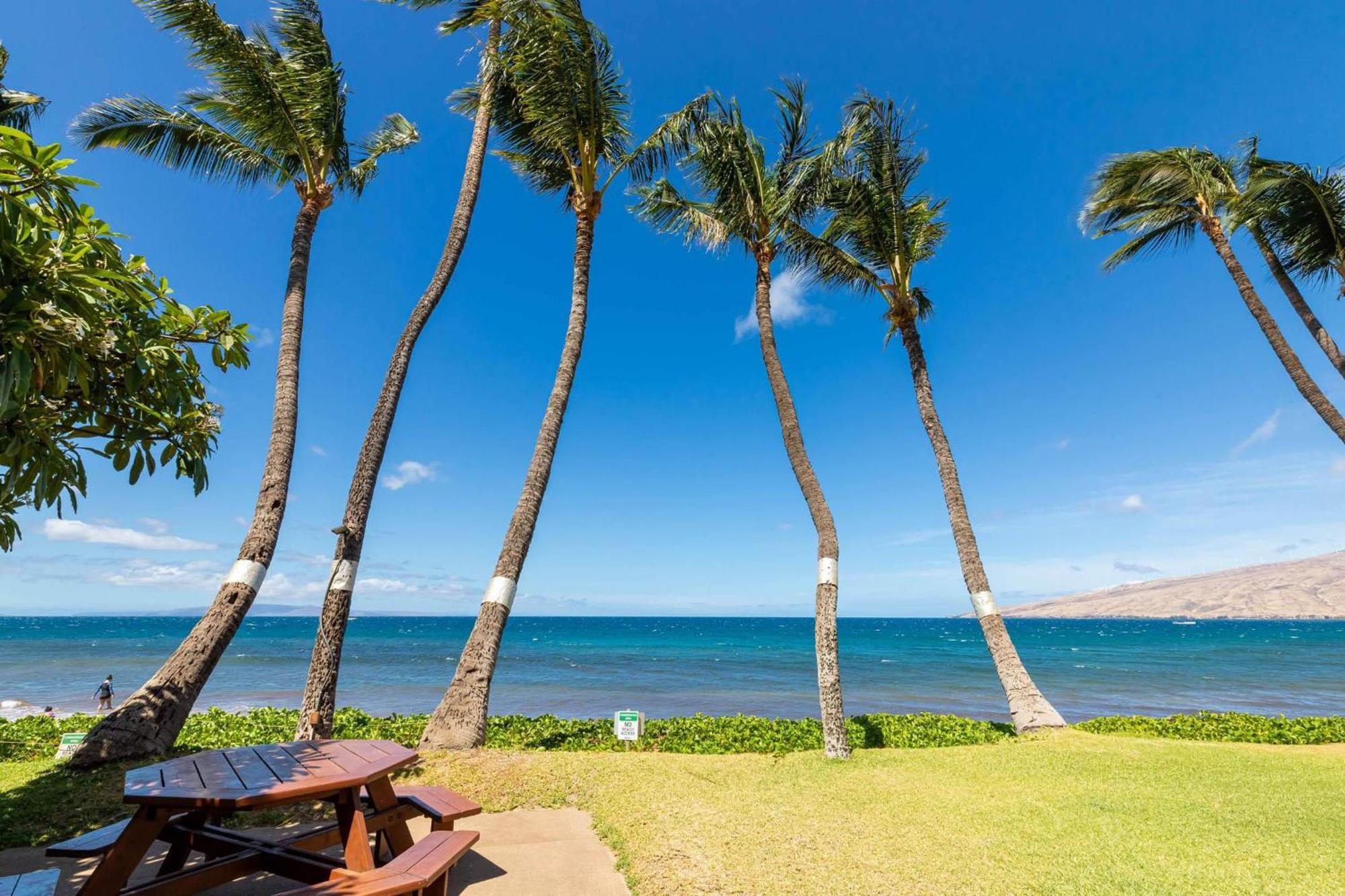 Kealia Resort 203 Kihei Exteriör bild